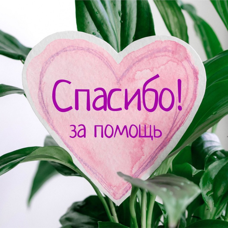 15_1.jpg