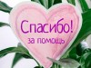 СОЦИАЛЬНЫЙ ПРОЕКТ "ДОБРЫЙ СЫКТЫВКАР"