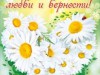 Всероссийский день семьи, любви и верности