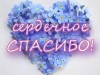 Благодарности получателей социальных услуг АНО ЦСОН Жизнь
